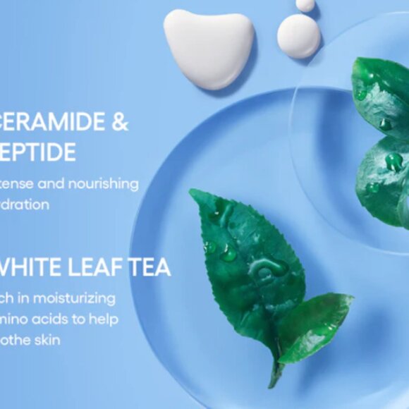 NIB Laneige Icons to Go Hydrate & Revitalize - Picture 9 of 13